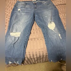 Lane Bryant Light Blue Denim Jeans